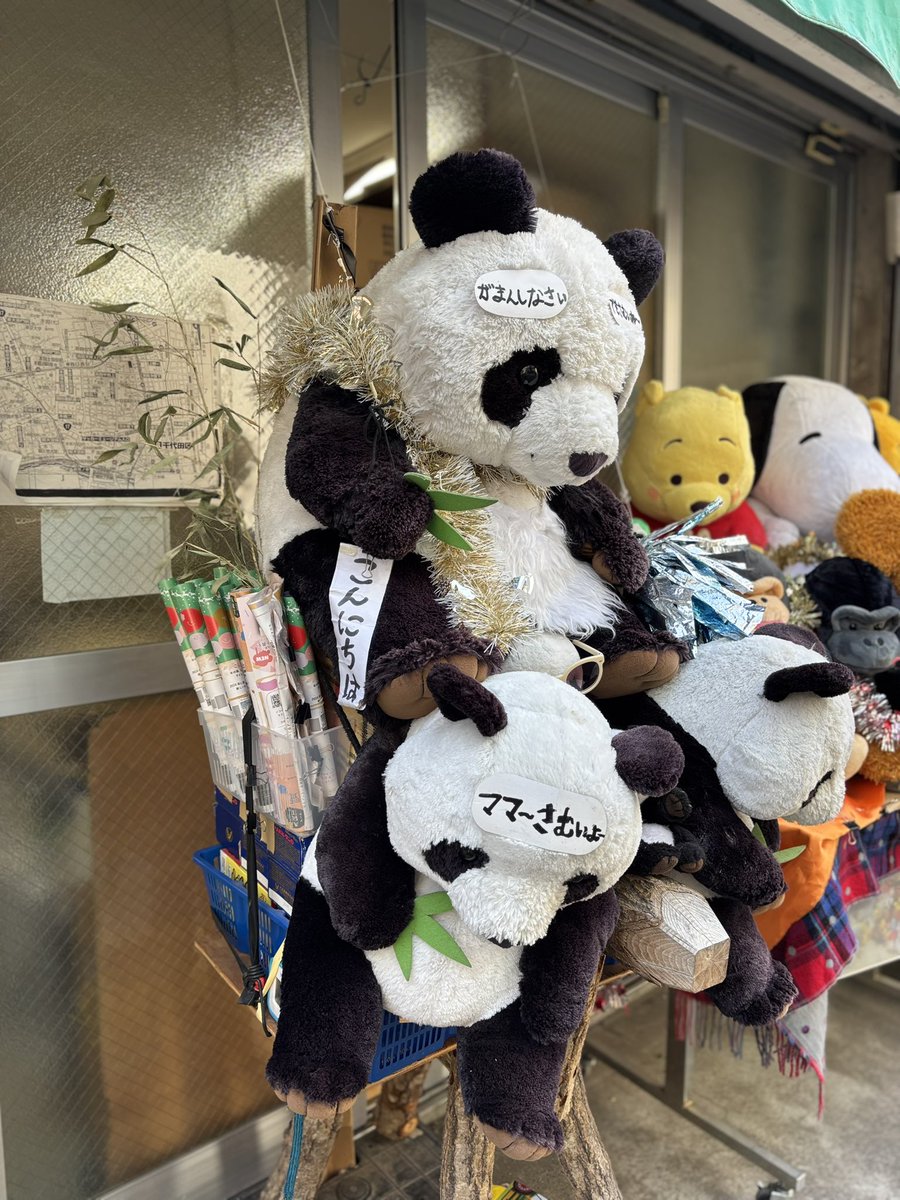 今日のパンダ達 #御徒町 #金曜日