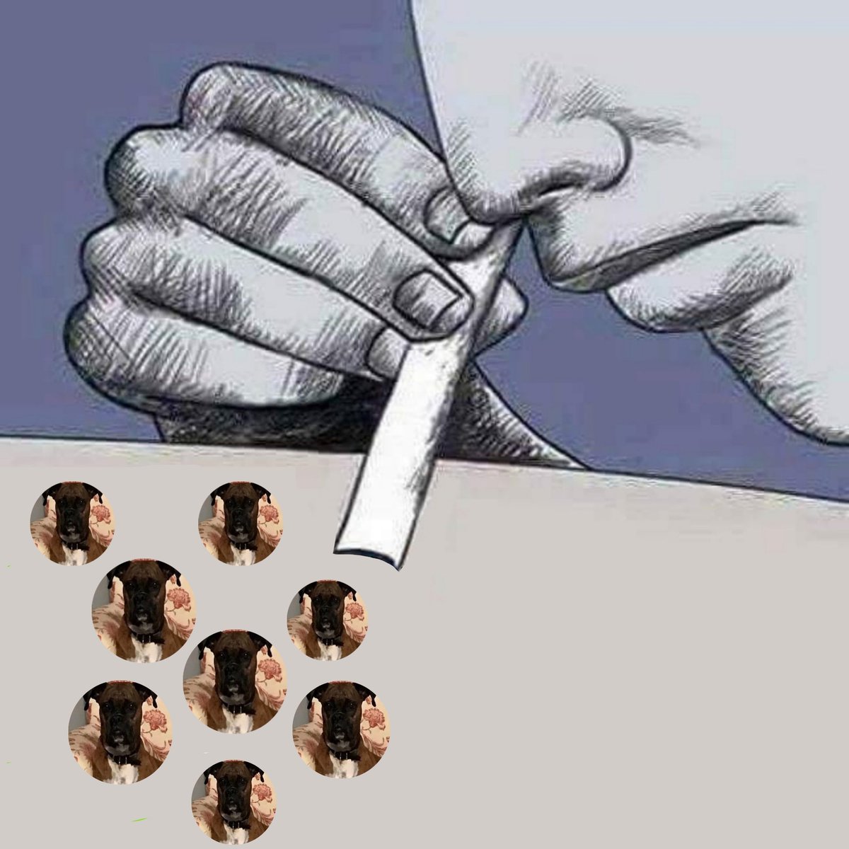 Adi Dia tweet media