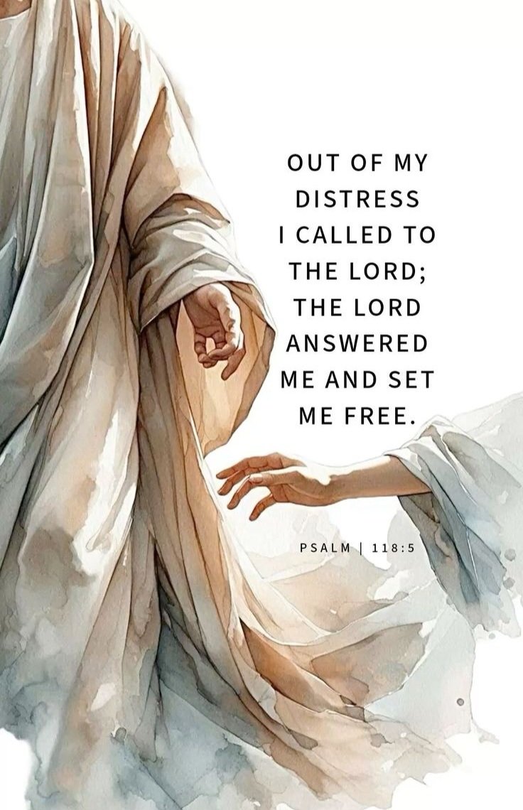 CarolynKoppers's tweet image. RT @John_Matthew_T: Psalm 1118:5