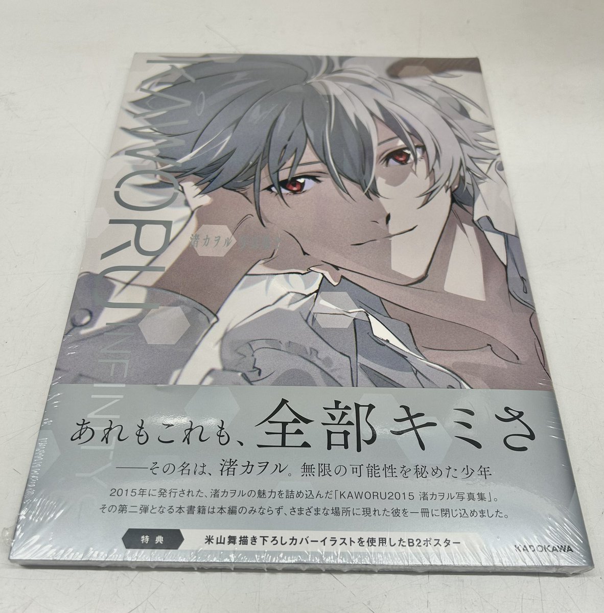 全カヲルくんファン大歓喜❣️】 『渚カヲル写真集2』入荷しました