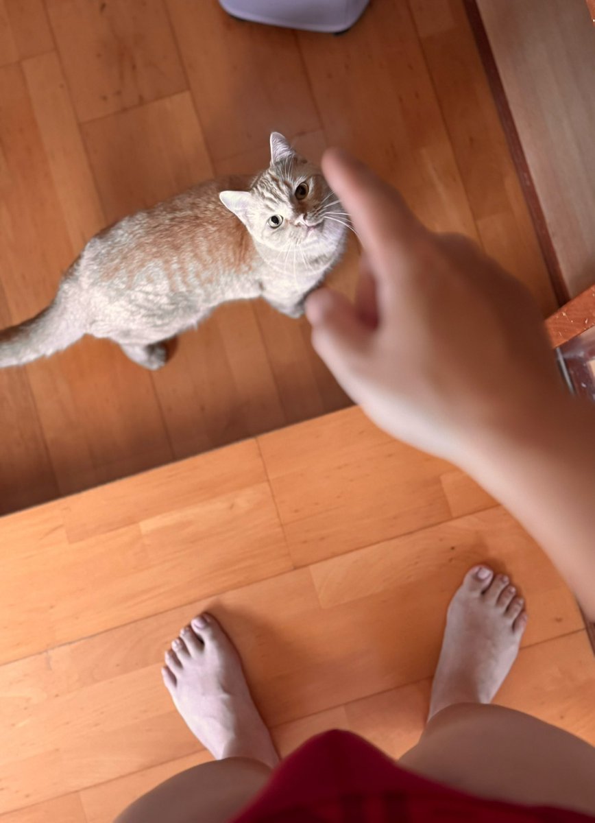 ₿₳ÜΞ₹ tweet media