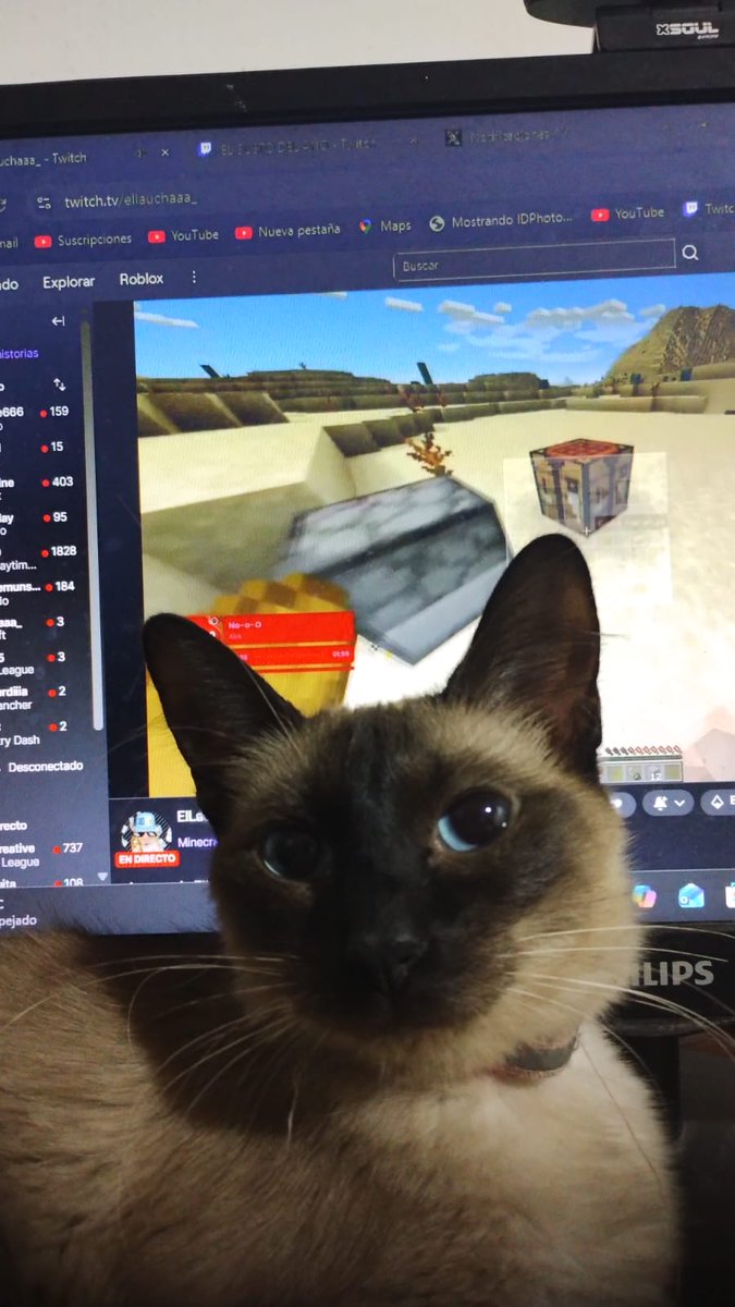 viendolo al maltratador y esta pava... 😜🤪