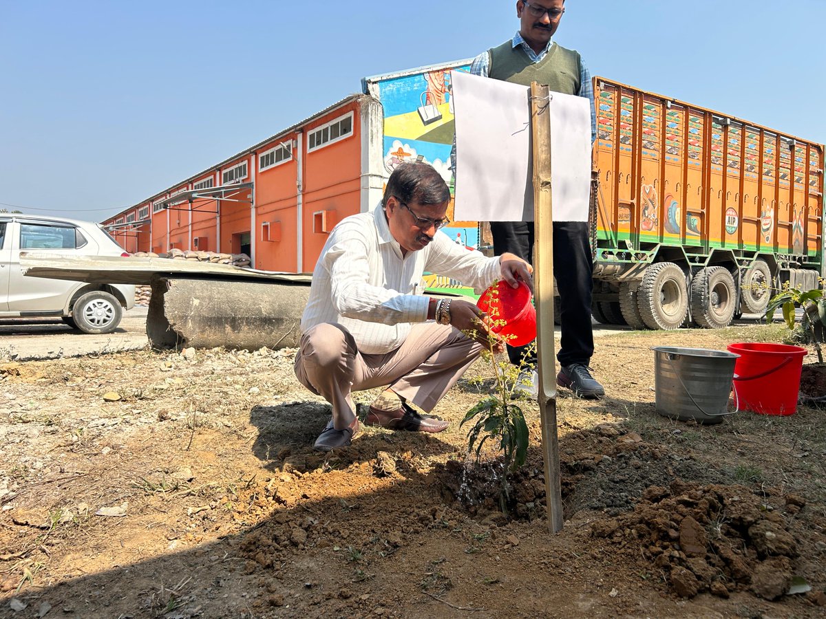 FCIDOBongaigaon's tweet photo. A plantation drive was led by Shri Manoj Kumar, GM, Assam Region, Food Corporation of India (FCI), promoting environmental sustainability and encouraging tree plantation initiatives at FSD Jogighopa. 🌱
@fci_ne
@AssamFci https://t.co/6vQ3Wo6l0H