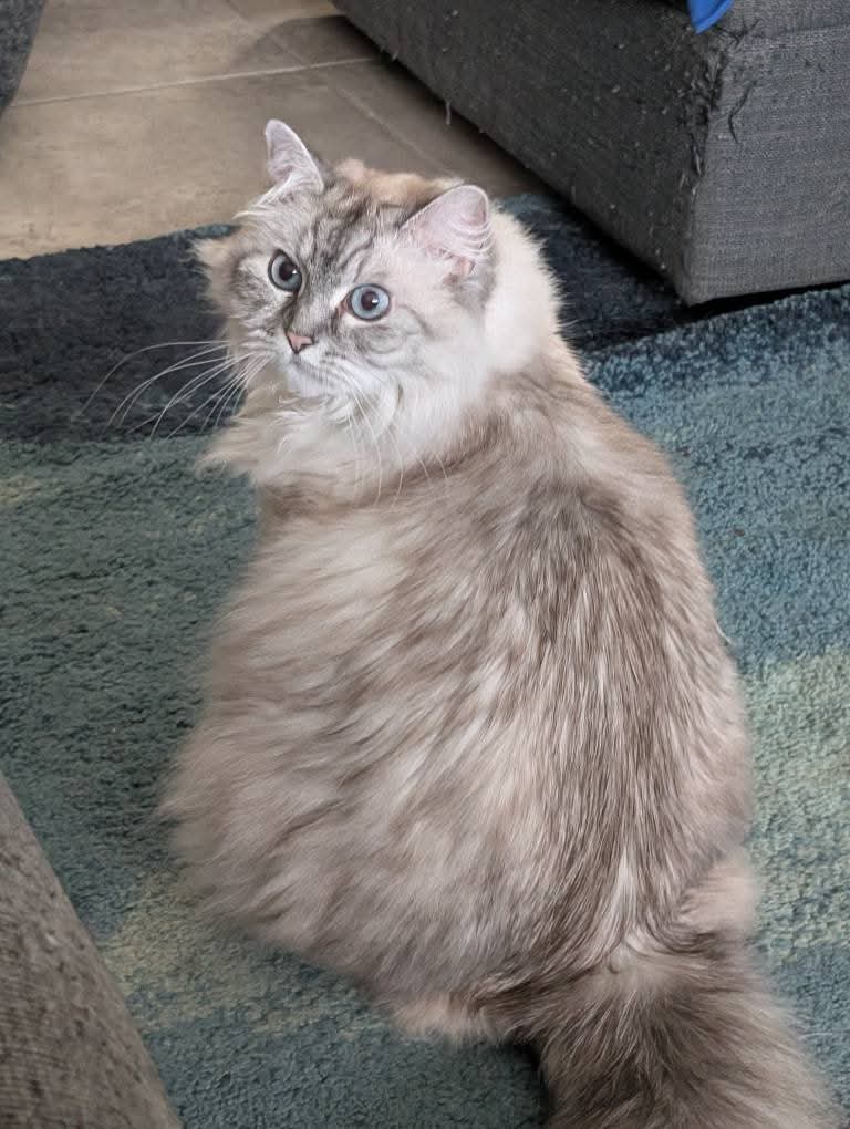 Savy✨️❤️‍🔥 tweet media