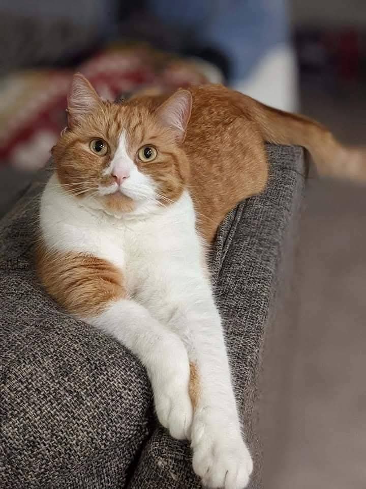 Savy✨️❤️‍🔥 tweet media