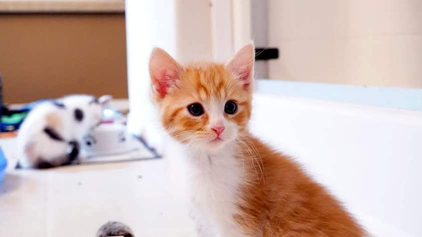 Savy✨️❤️‍🔥 tweet media