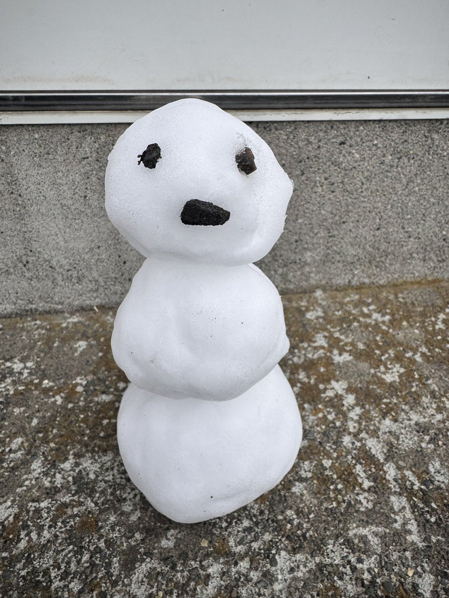 maki🐞馬とカメ🐢と虫と鳥と畑とか tweet media