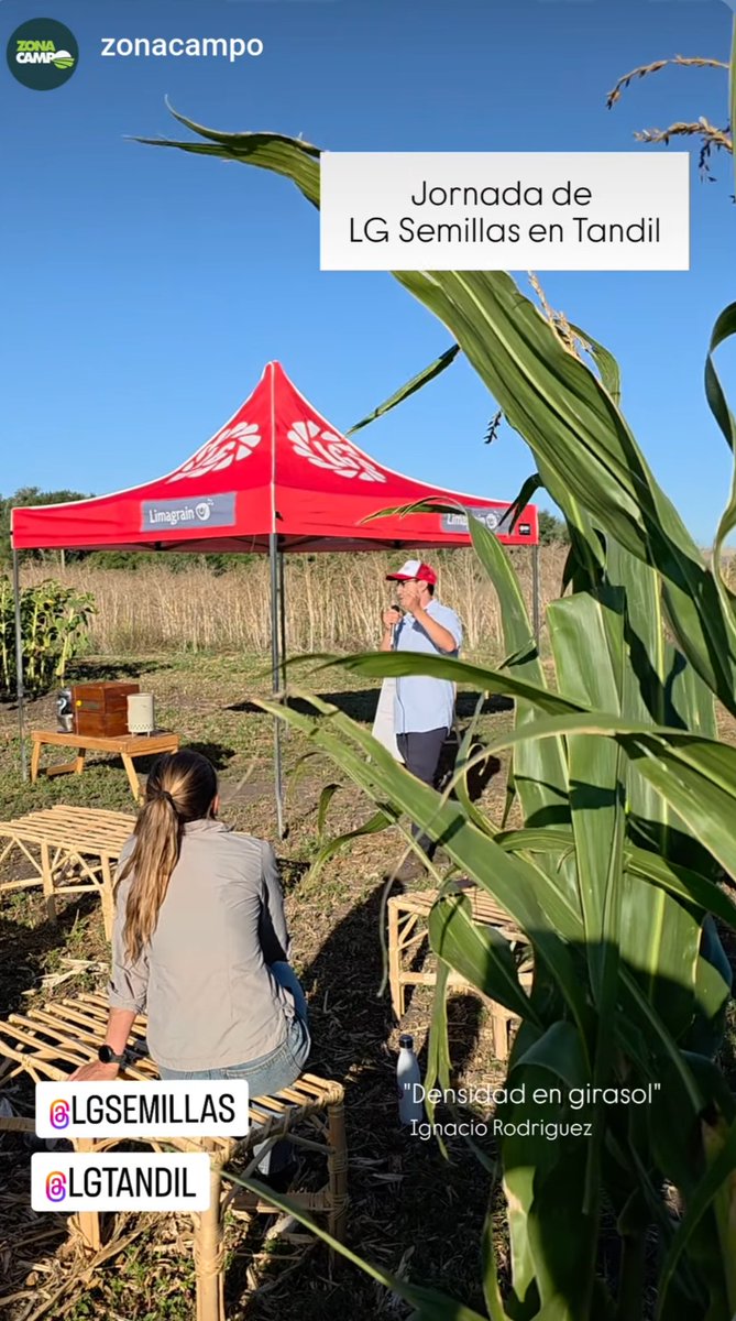 Nacho Rodriguez tweet media