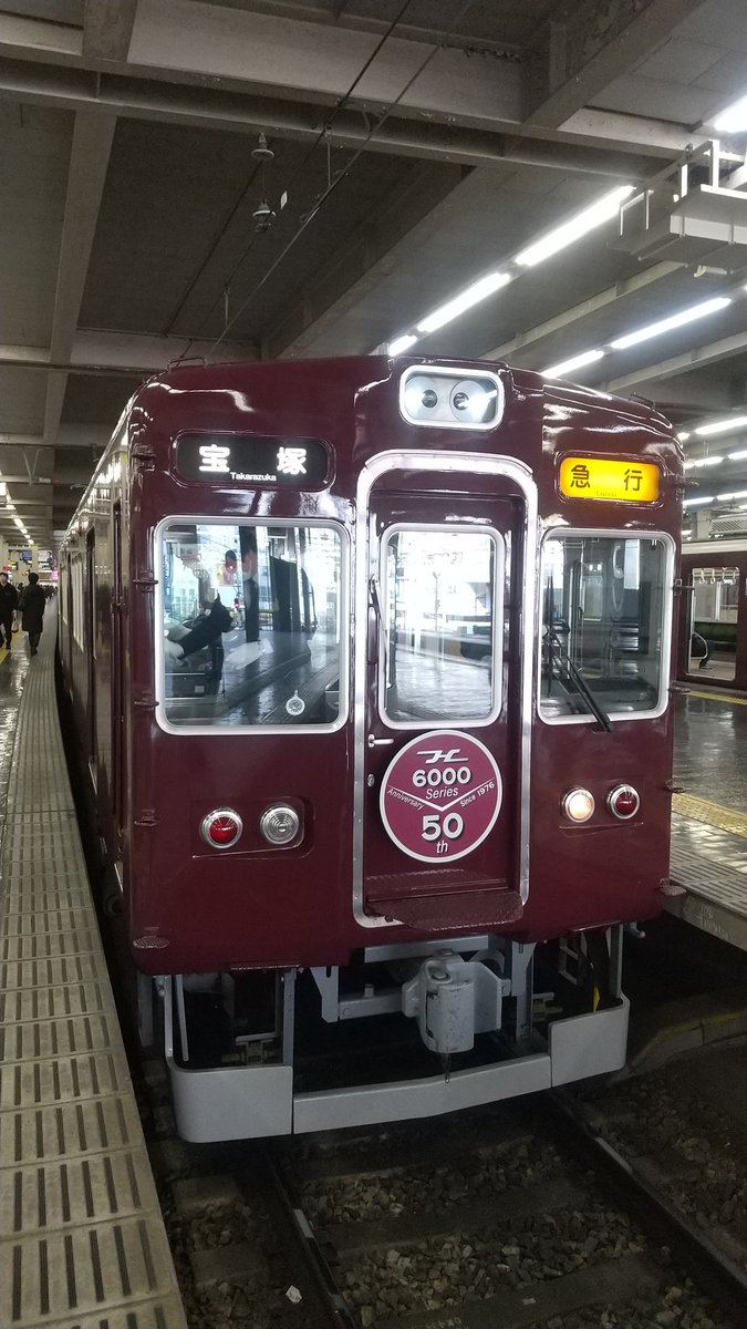 春への楽しみは多く、明後日の大阪マラソンもですが、マラソンを応援し