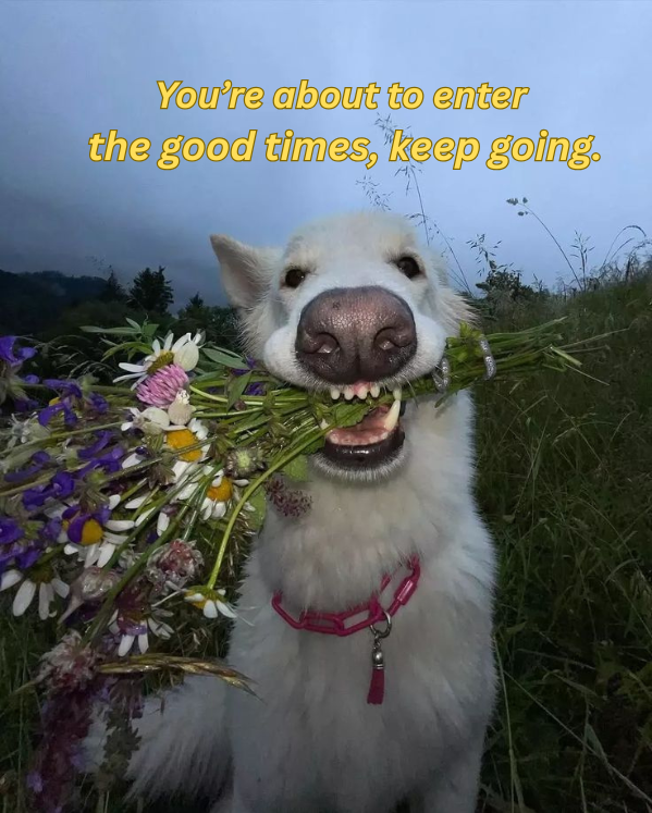 ⚡️NEVERDOOMPRO⚡️ tweet media