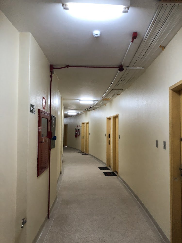 Lucas 🦦 tweet media