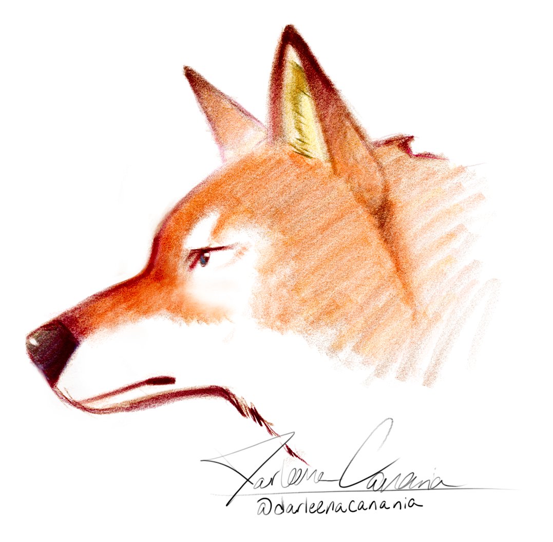 #furry #furryart #wolfart