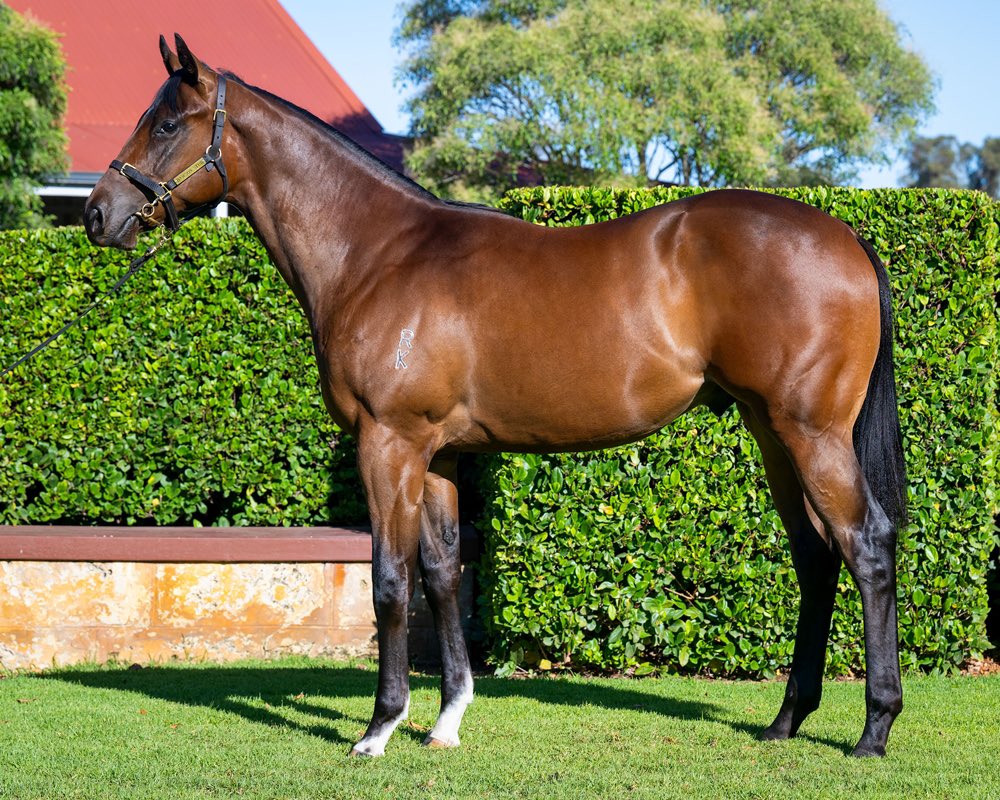 Michael Lane Racing tweet media