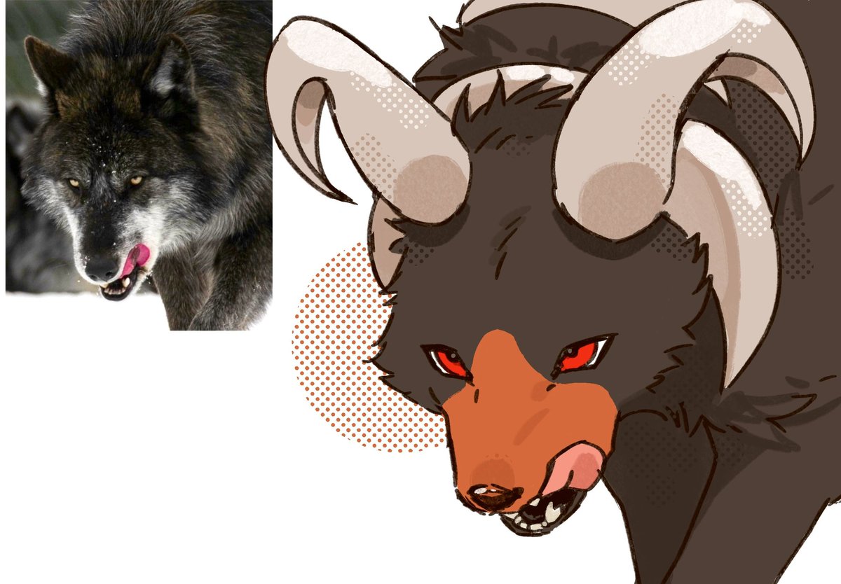 세타 セタ (@seta629211) on Twitter photo 