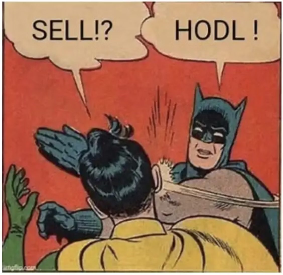 holdlers's tweet photo. Do they be that beesh. Just #hodle https://t.co/gWA4BAjx55