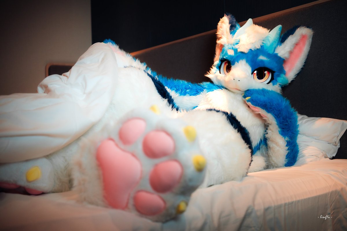 泷浩/A龙 ♤Antansty tweet media