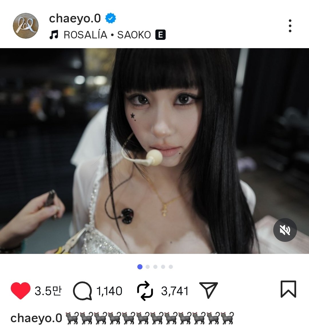 shinto_buri's tweet photo. 고양이커플🐈‍⬛🐈‍⬛ https://t.co/ihBhNF61Ez