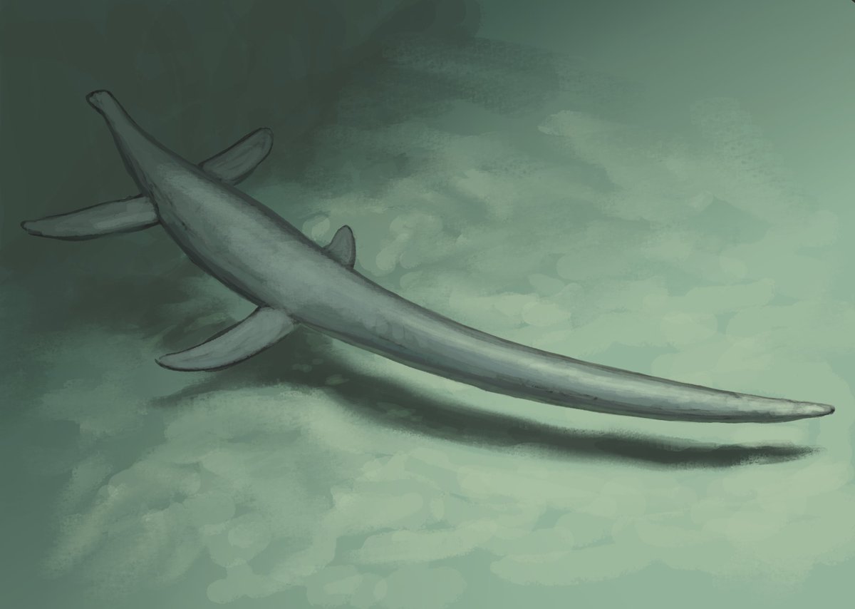 CFD modelling of the thermo- and hydrodynamic capabilities of long-necked plesiosaurs (Sauropterygia, Elasmosauridae)
journals.ub.ovgu.de/index.php/tech…