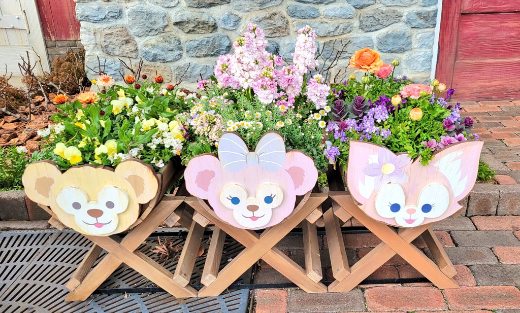 TDS⑦ この時ダフィフレのイベントやっててパーク内かわいかったな