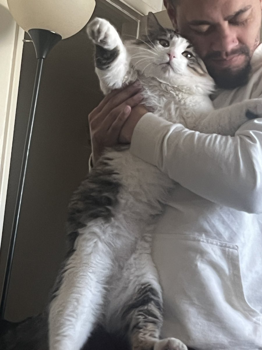 Z_Locca's tweet photo. @Garrett_Watts One who hates the light during a nap. One with 0 survival instincts. And Jabba the Hutt. https://t.co/DpIjIUkiCQ