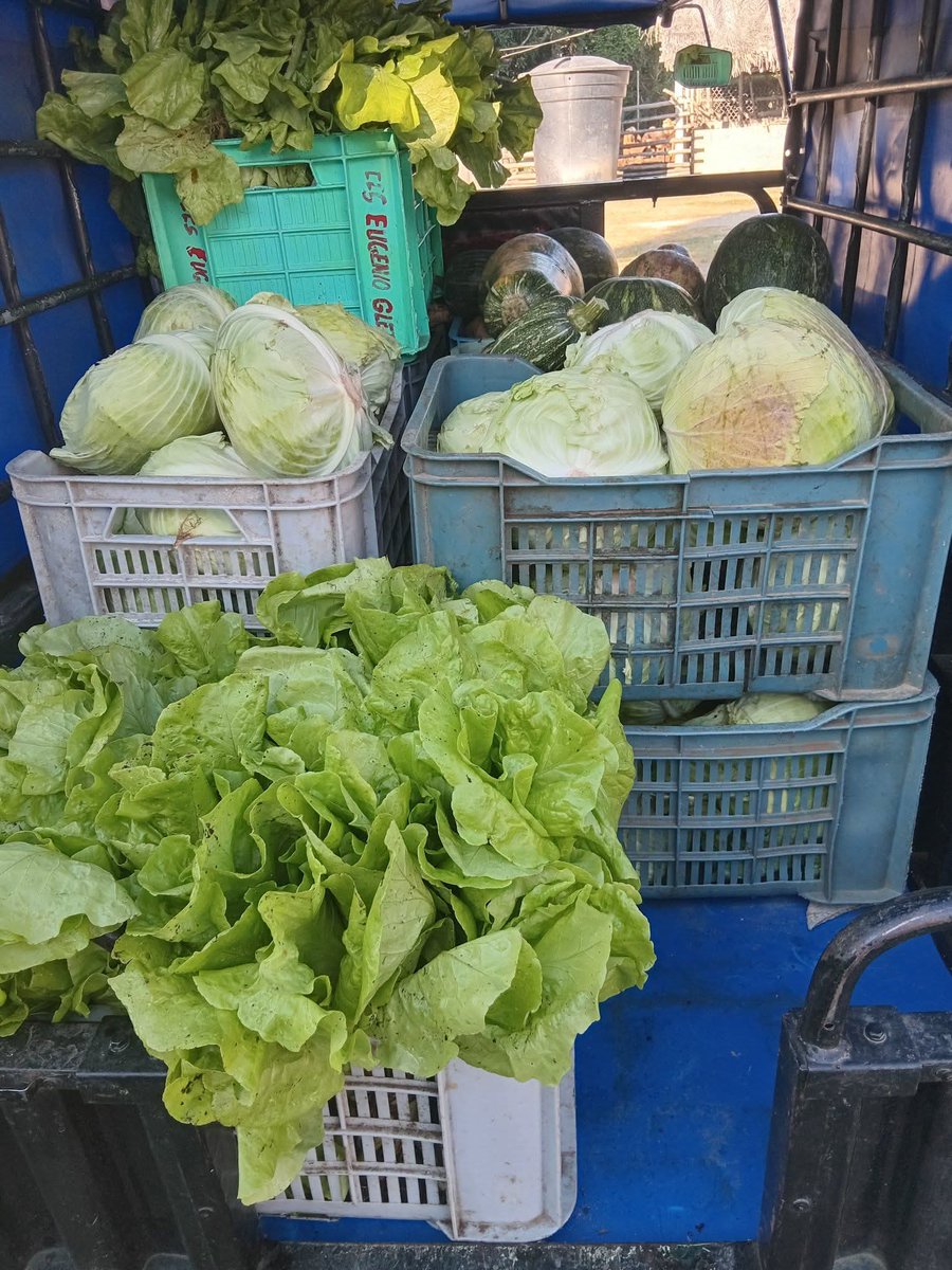 RolandoPrezDaz2's tweet photo. Los campesinos Holguineros convencidos de la misión que tienen en estos momentos realizando donación de Productos Agropecuario al Hospital Pediátrico Octavio de la Concepción.
#ANAPCuba 
#AnapHolguin https://t.co/R62HuWjRIE