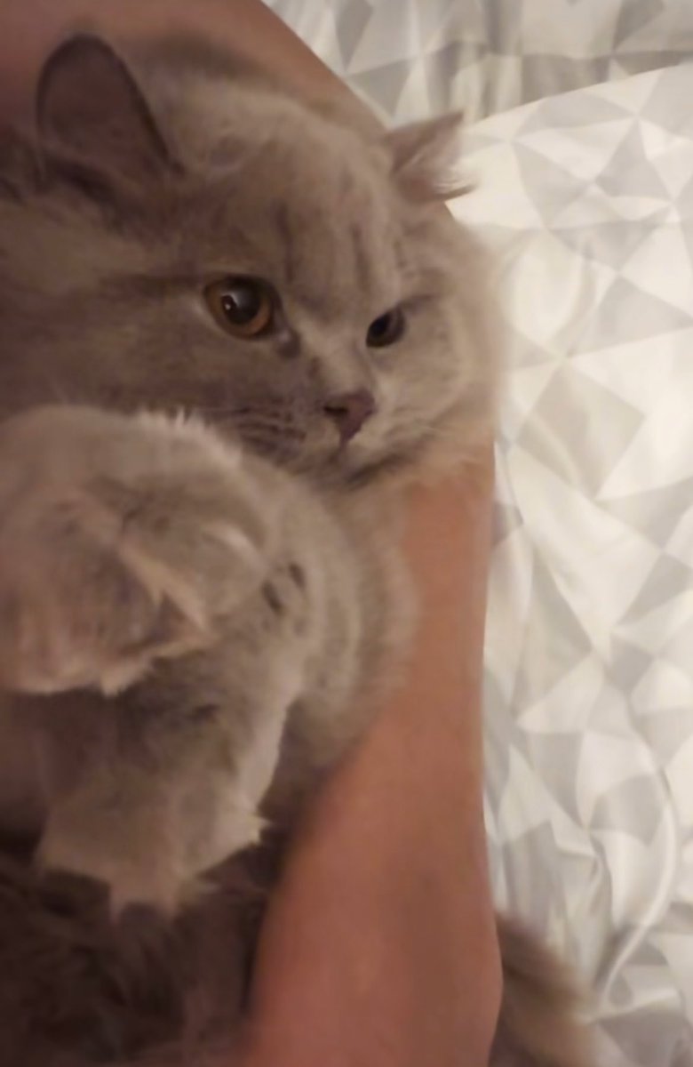 เหมือนเป๊ะ ((แม้กระทั้งคนกอด))