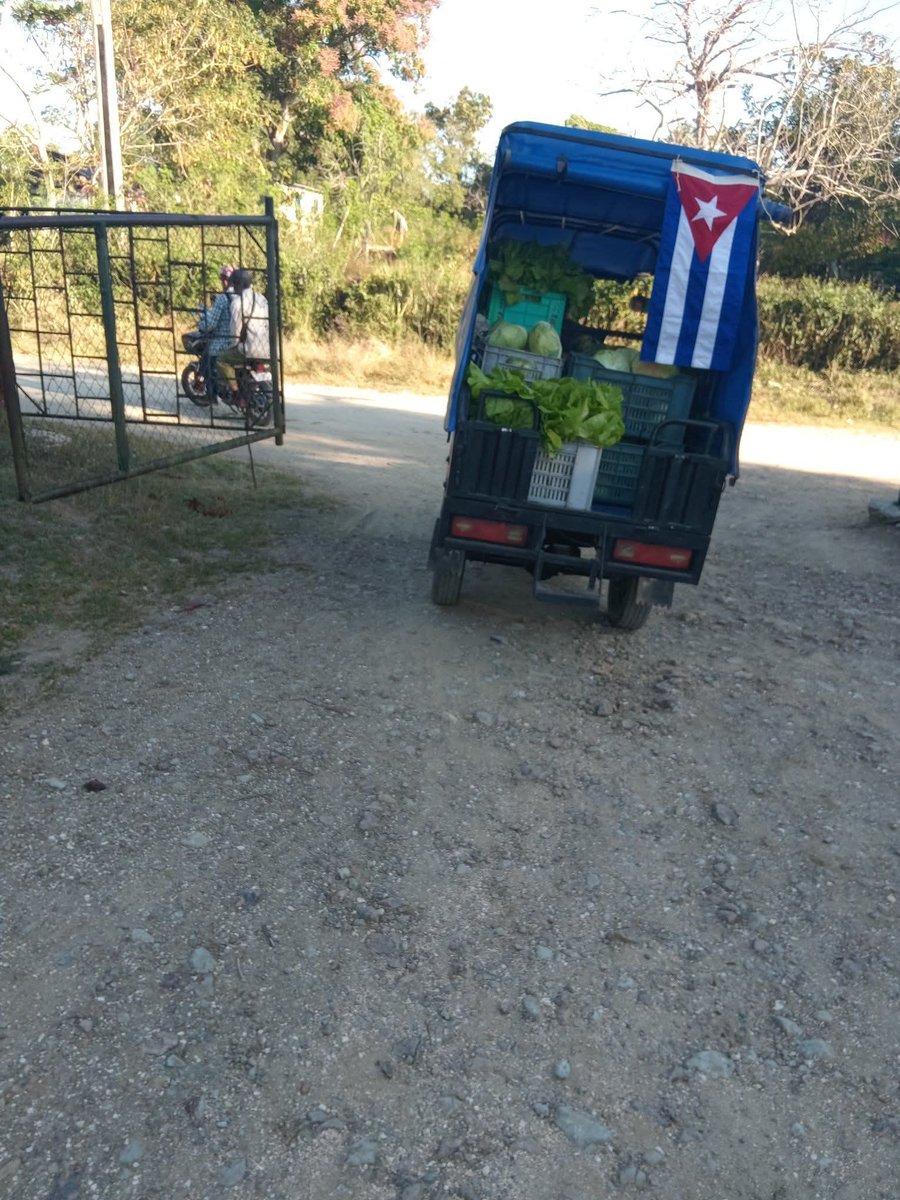 RolandoPrezDaz2's tweet photo. Los campesinos Holguineros convencidos de la misión que tienen en estos momentos realizando donación de Productos Agropecuario al Hospital Pediátrico Octavio de la Concepción.
#ANAPCuba 
#AnapHolguin https://t.co/R62HuWjRIE
