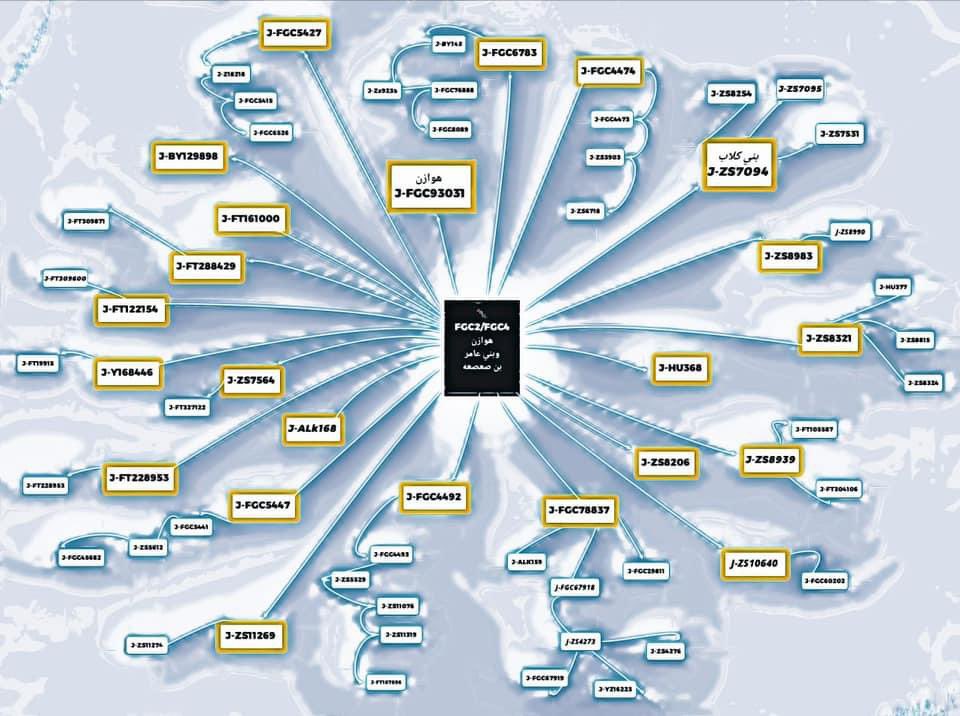 🔥🔥🔥
مشجرة هوازن و بني عامر بن صعصعة Fgc5/Fgc1/Fgc2