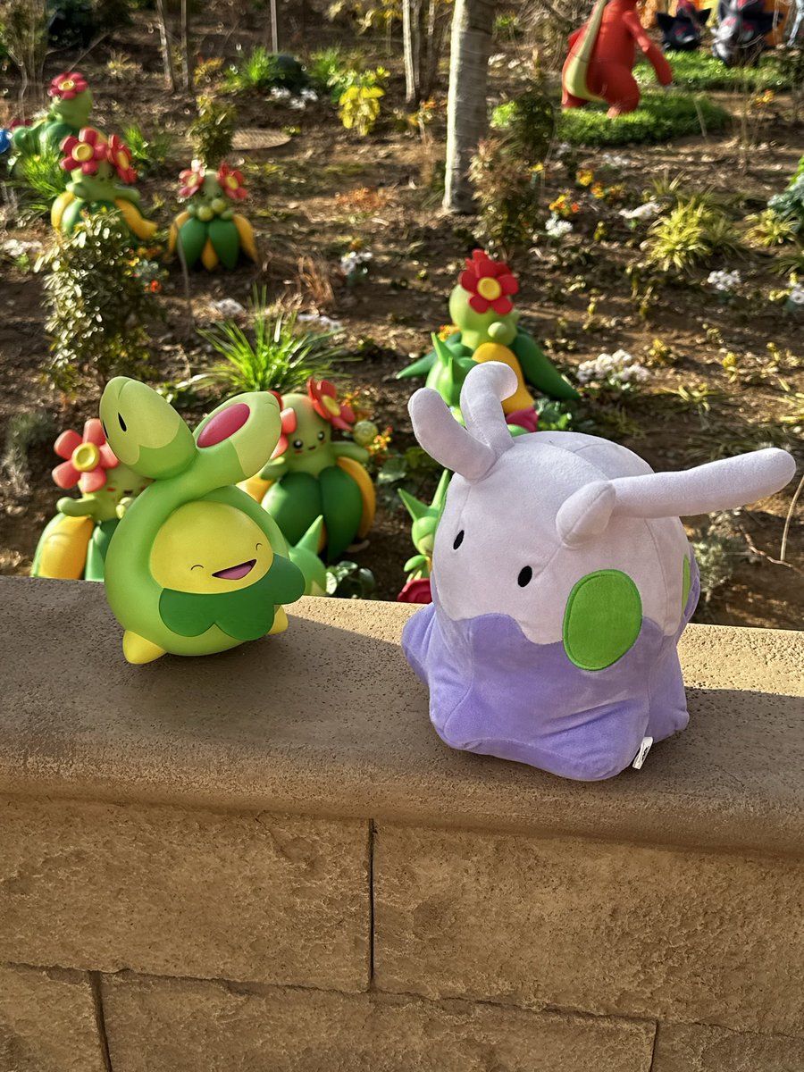 ポケパーク・カントー 中サイズのぬいぐるみもオススメです 居る感のお