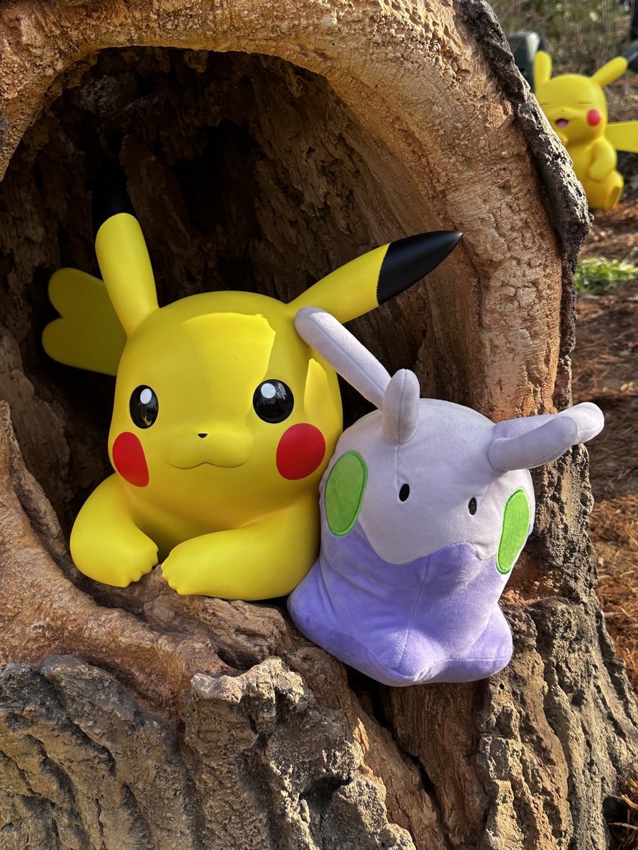 ポケパーク・カントー 中サイズのぬいぐるみもオススメです 居る感のお