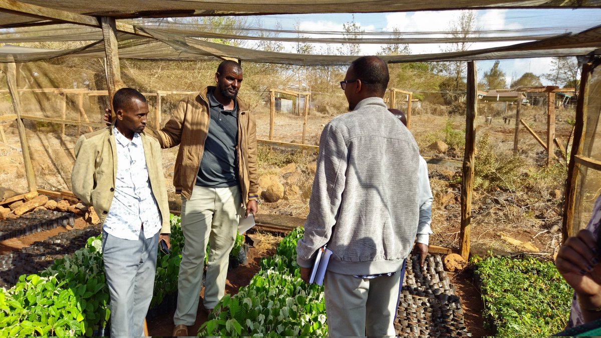 SNDAfrica tweet media