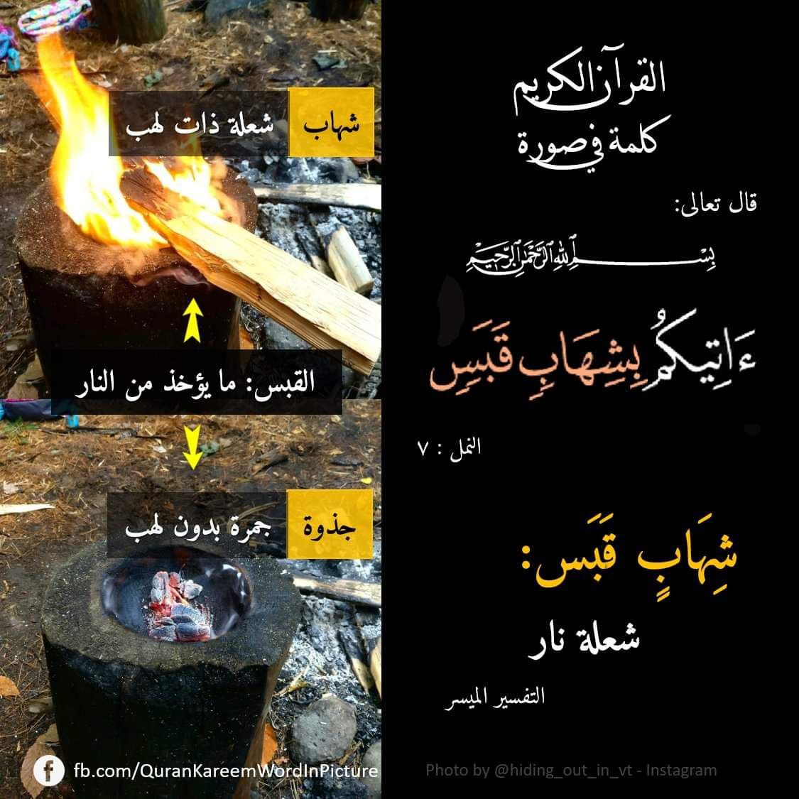 طه إبراهيم الكارم tweet media