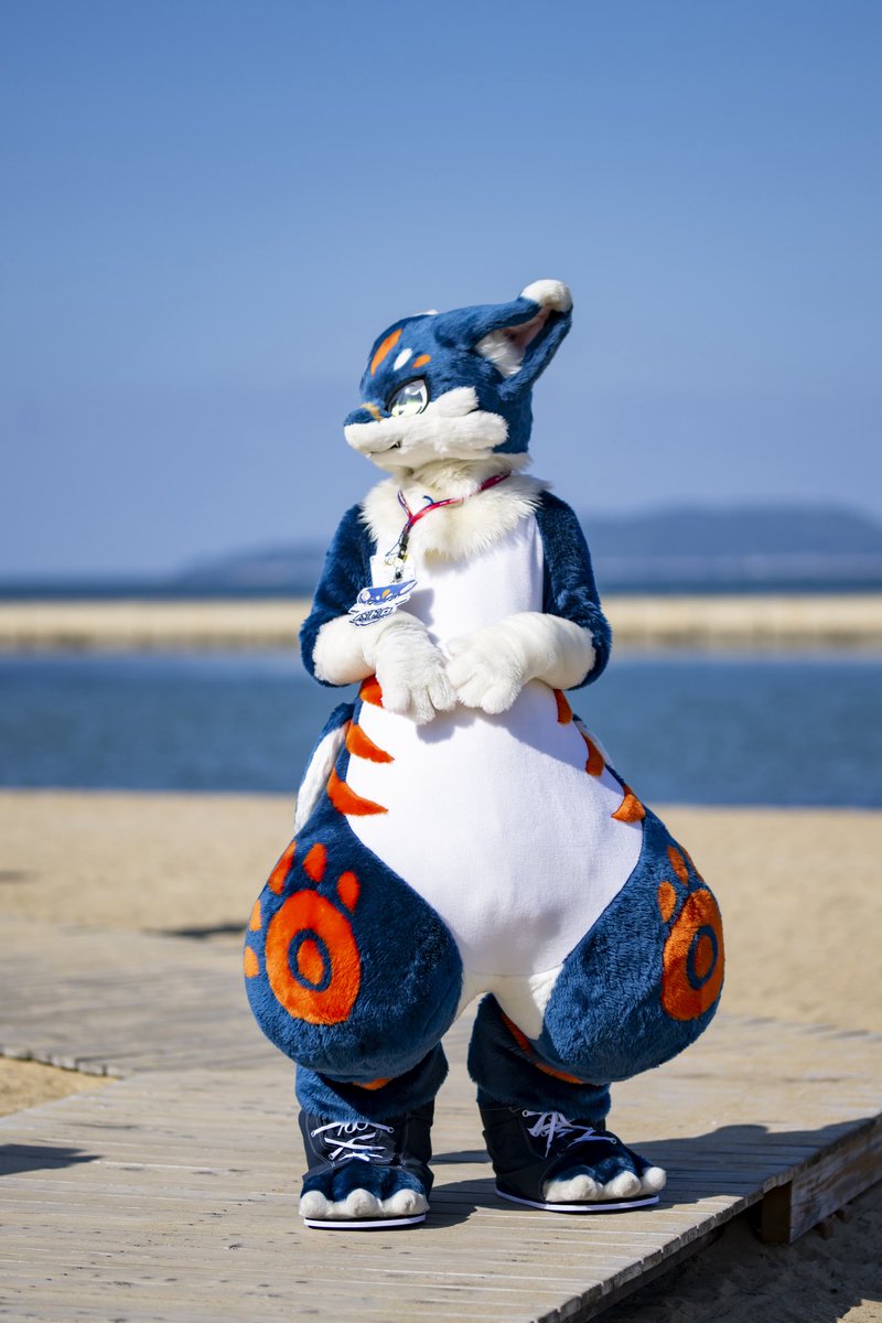 Garo🐾 tweet media