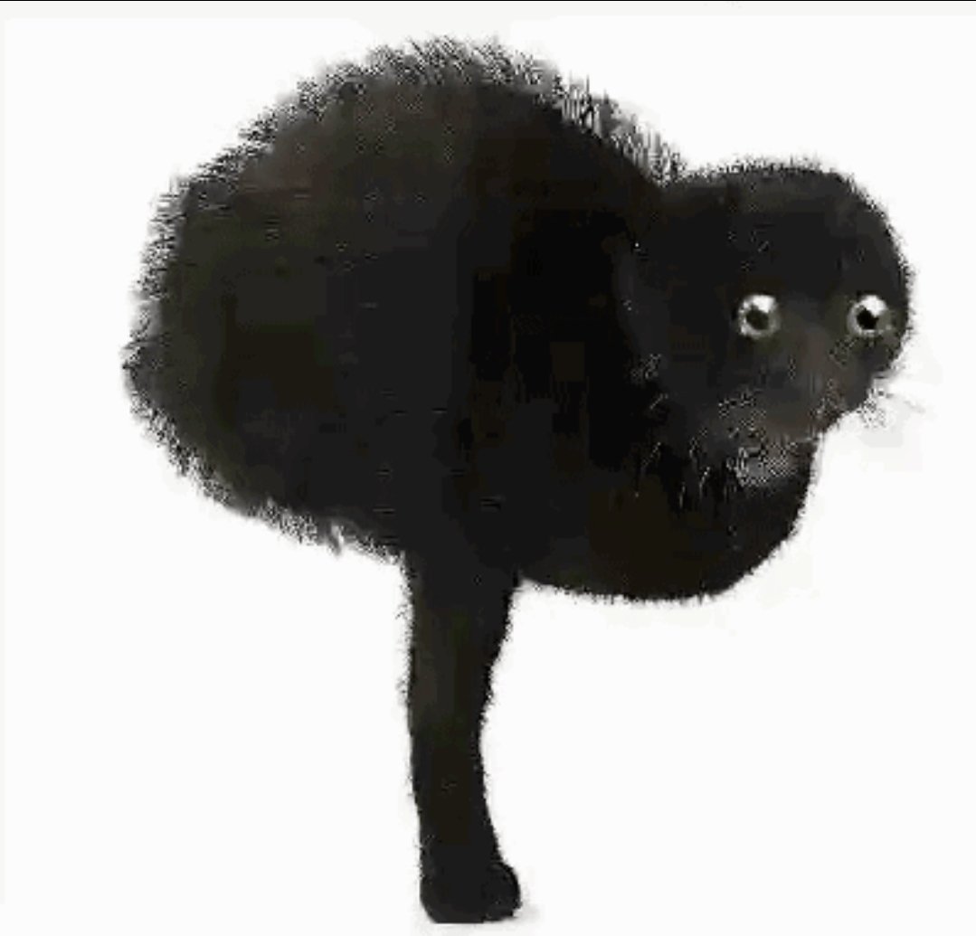 ⋆｡ﾟ☁︎ ruben / rylan ｡⋆｡ 🪲 ﾟ☾ ﾟ｡⋆ tweet media