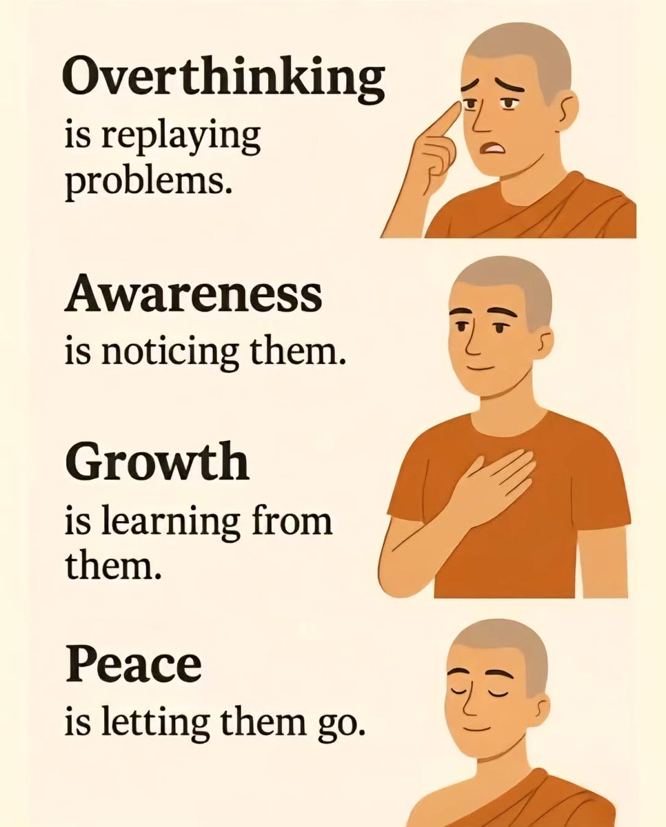 Seek Wiser tweet media