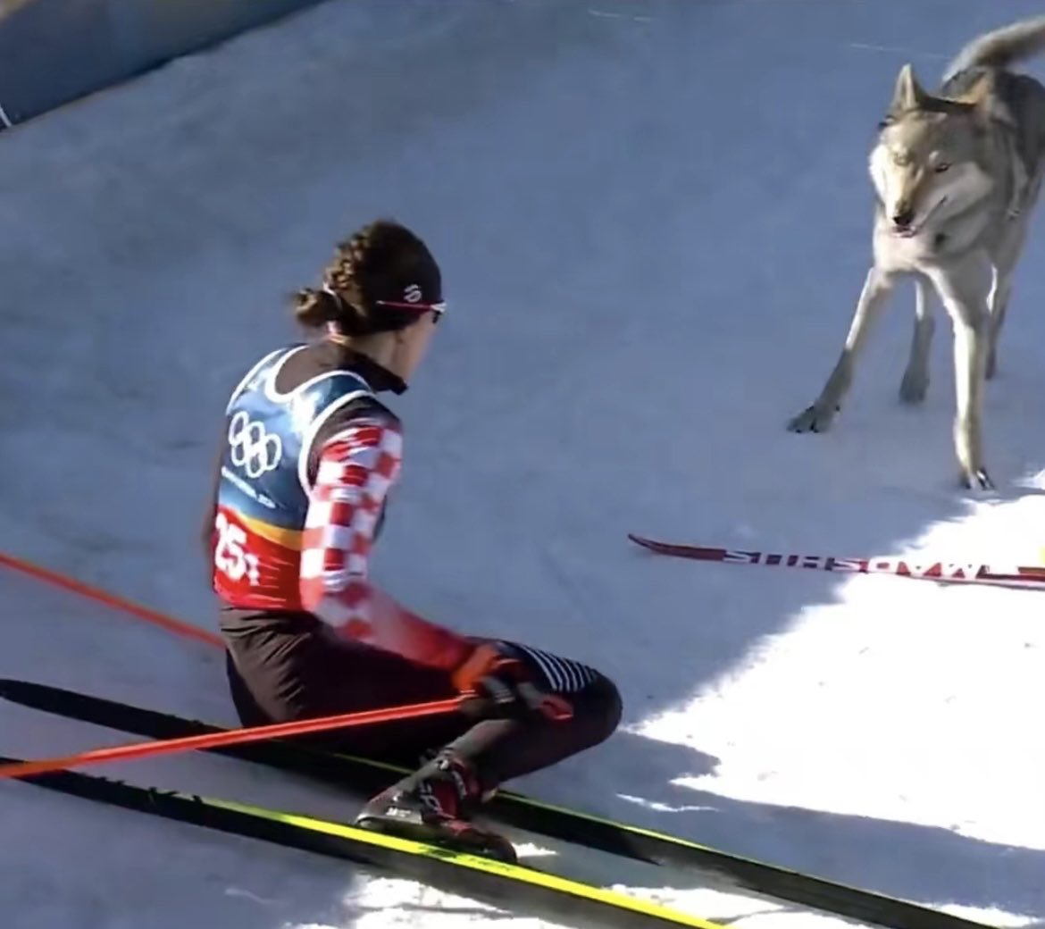 anontwituser2's tweet photo. “Yes magic spiritual wolf, I will win this gold medal for my ancestors” https://t.co/FptlInzVMC