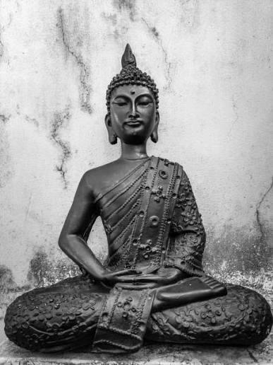 AnilYadavmedia1's tweet image. Asia में आज तक Lord Buddha से बड़ी हस्ती ने जन्म नहीं लिया,
बुद्ध ही सत्य हैं,
बाक़ी सब..