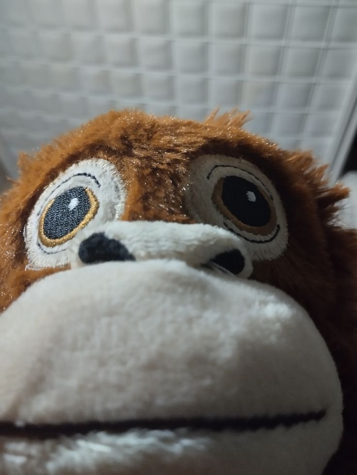 Djungelskog tweet media