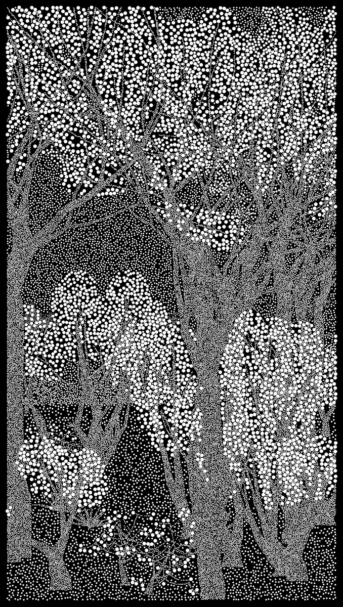 (DCA) Daniel Calderon Arenas tweet media