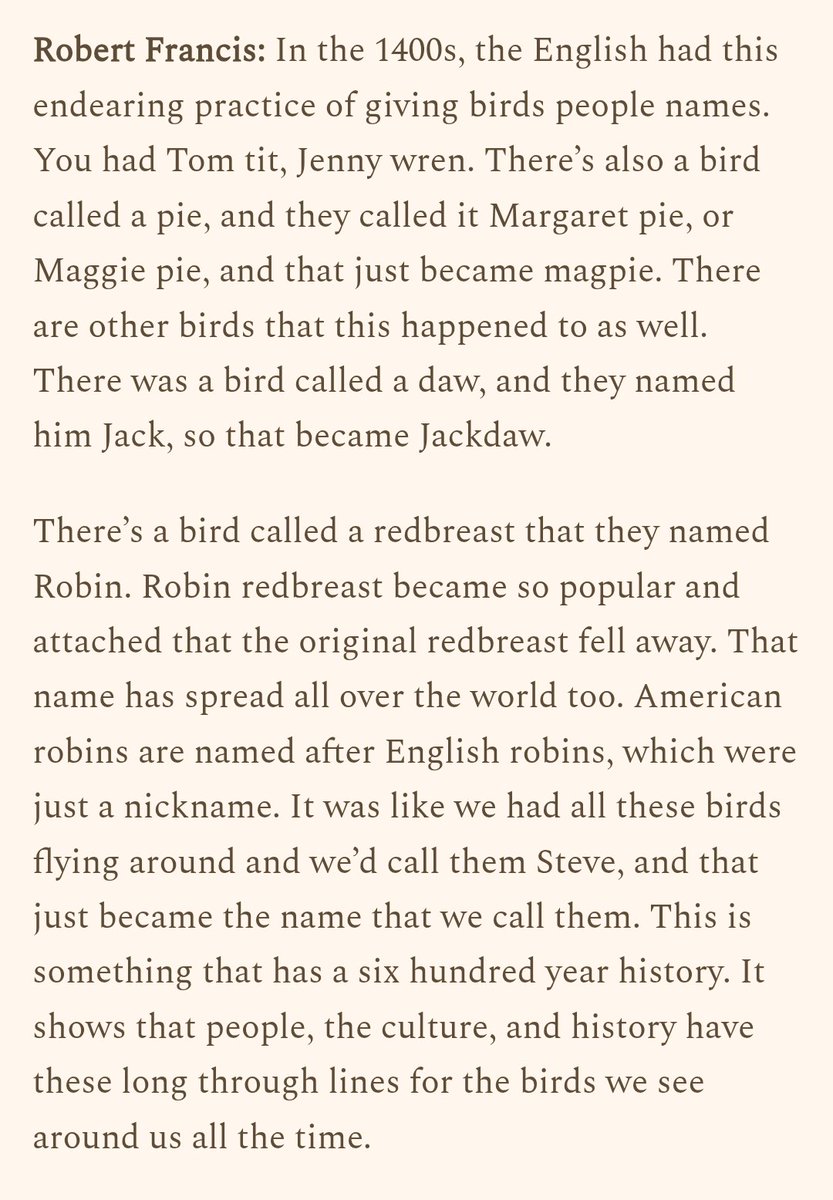 moultano's tweet image. wat