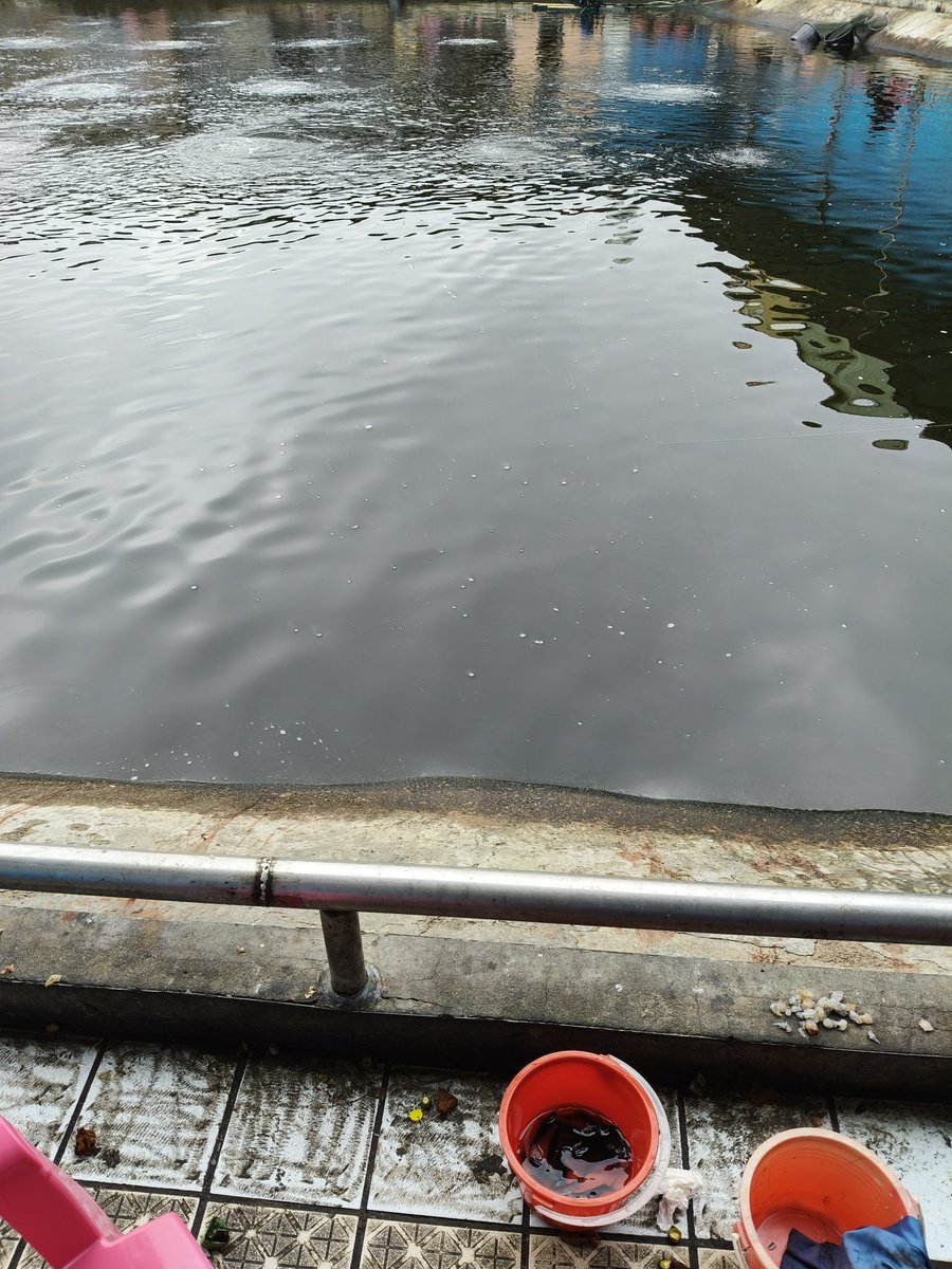 （新北）L&M tweet media