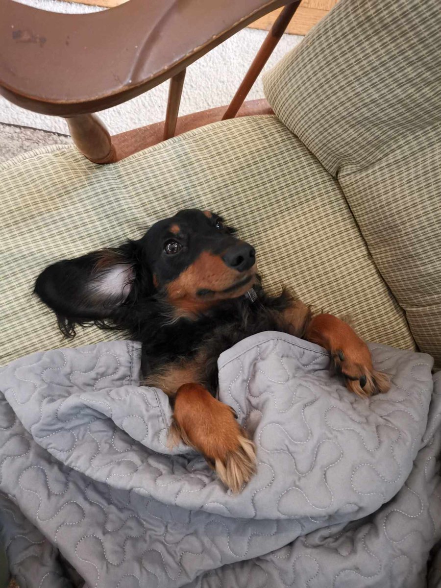 Rylee Gregory tweet media