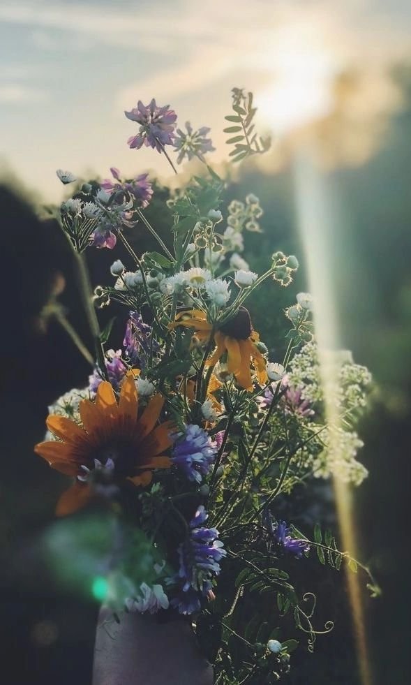 FMNInspirations's tweet photo. here, these are for you <3 https://t.co/vZt0FQZ7te