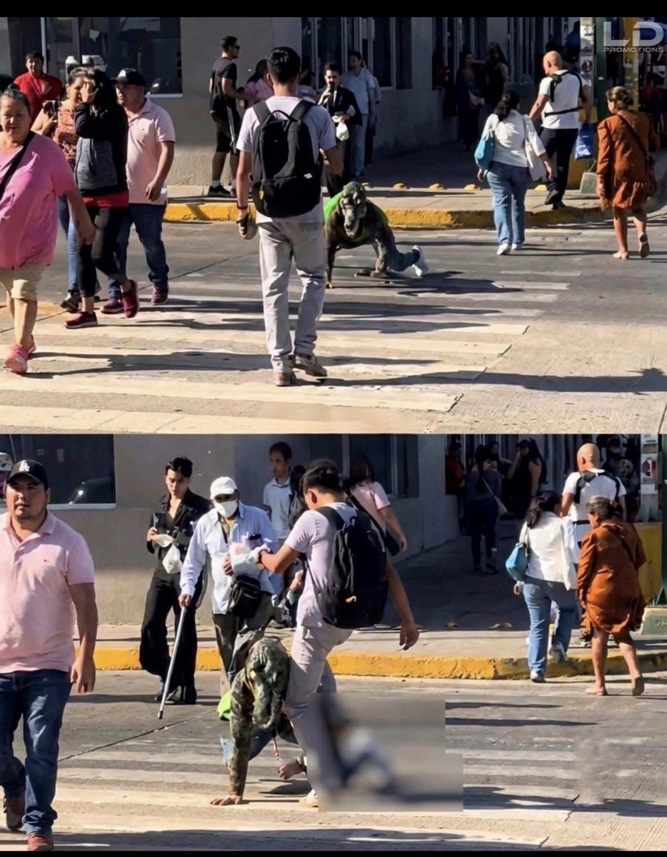 Jhonf Fonseca tweet media