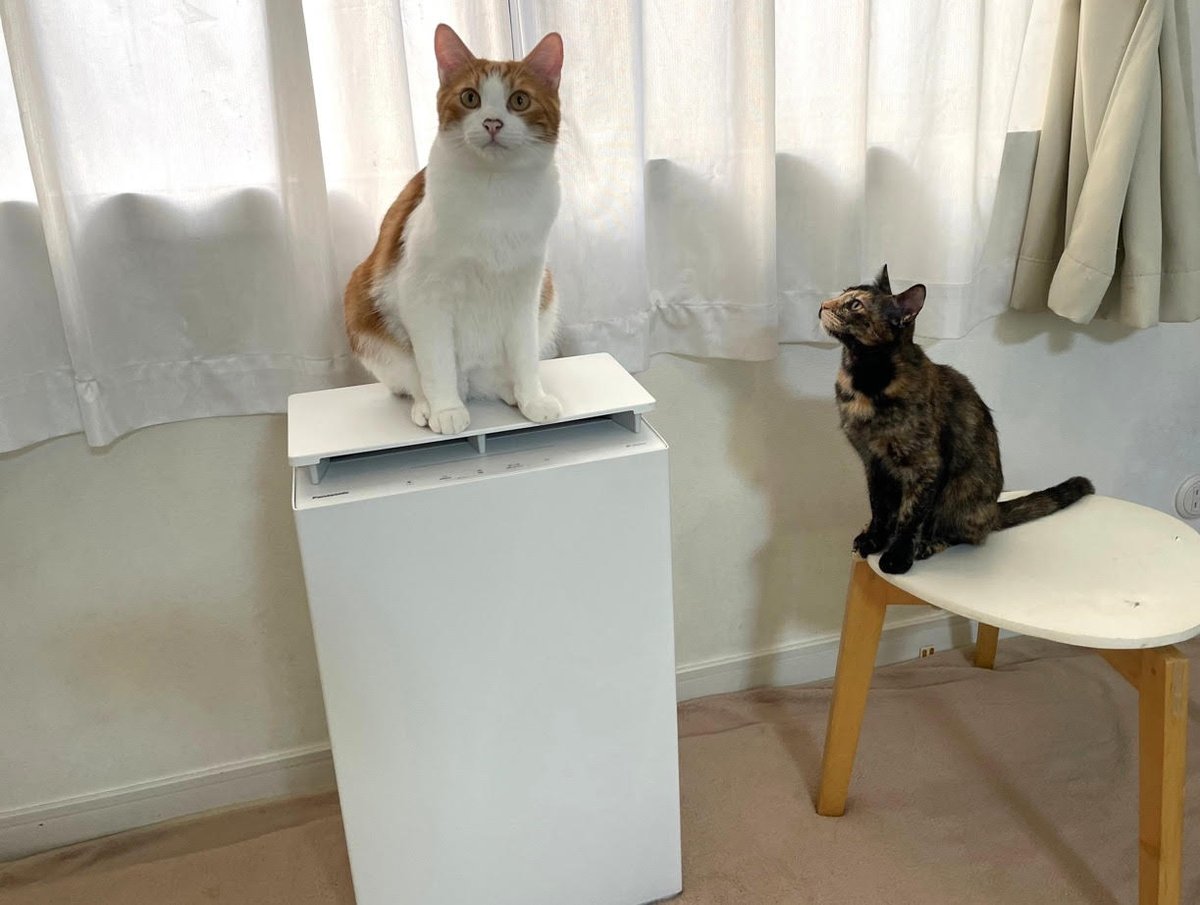 Panasonic Japan公式 (@Panasonic_cp) / Posts / X