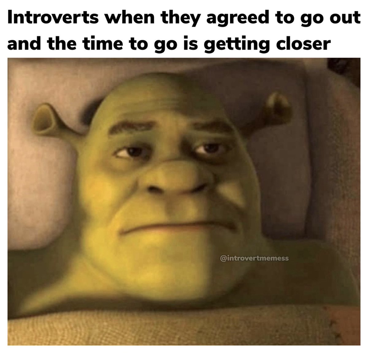 AllAbIntroverts's tweet image. 