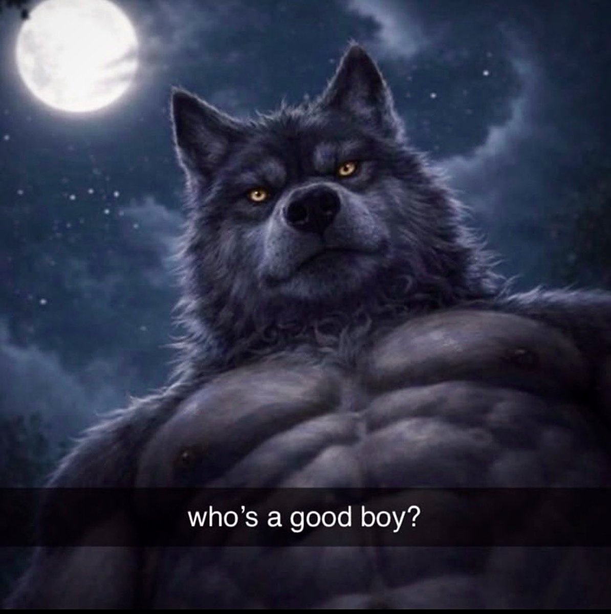 wvlfbait's tweet photo. well?? 😏 what's your final answer..?you'd better choose wisely...🐺Aaaawwrrrooooooooo!! #werewolf #werewolftf #wolf #wolftf #furry #furrytf #TFTuesday #WerewolfWednesday #lycan #lycanthrope #goodboy #fullmoon #awoo https://t.co/N2GZ6Driji