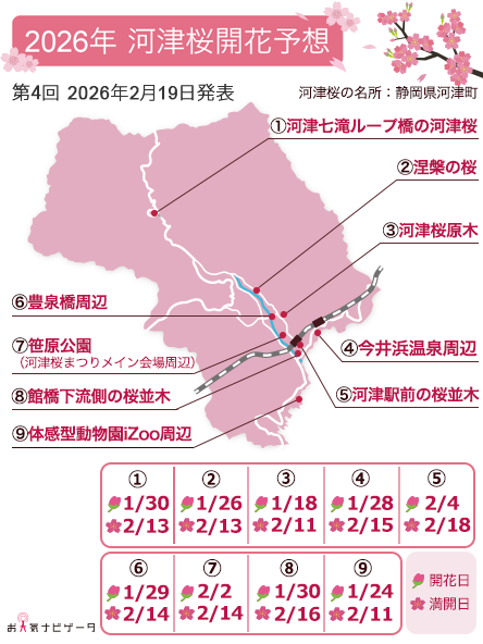 毎週更新🆙 ╰━━v━━╯ 🌸桜の開花満開予想🌸 全地点で休眠打破し