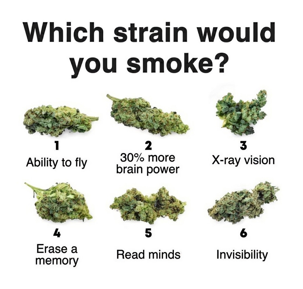 STONERS R US 🍃 tweet media