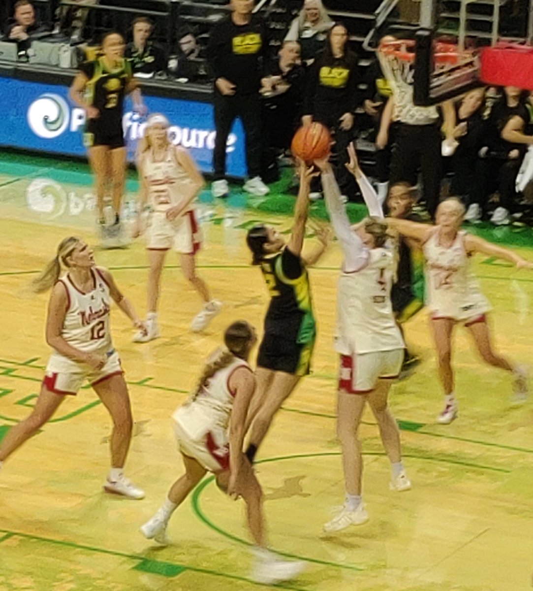 Carl Berman tweet media